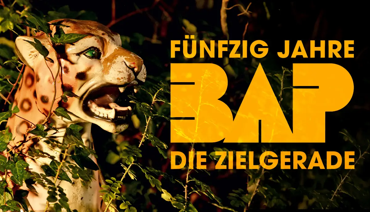 FÜNFZIG JAHRE DIE ZIELGERADE 