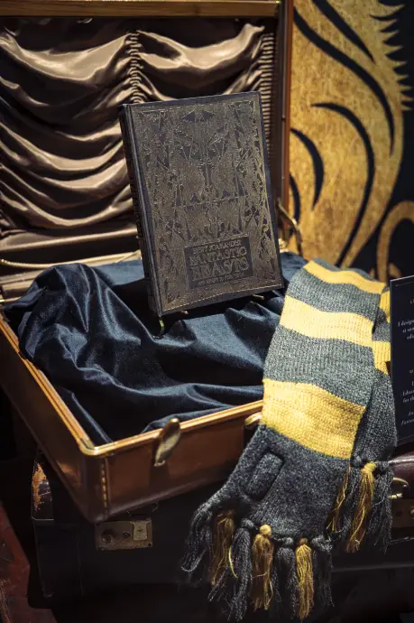 Bild 13 von 18 für Gallery Harry Potter: Die Ausstellung