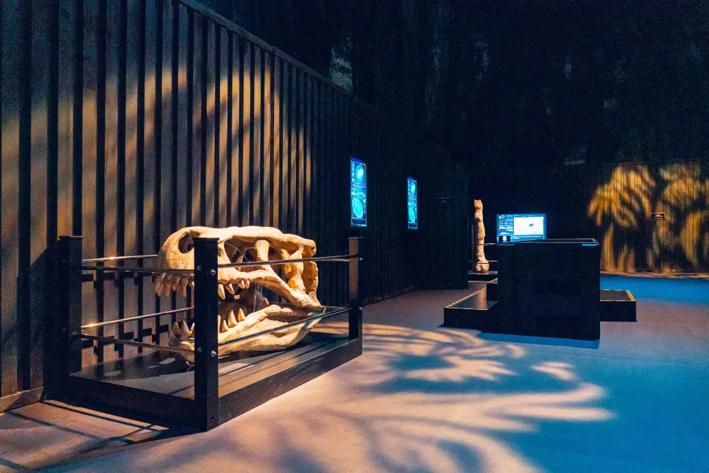 Bild 7 von 9 für Gallery München 2026