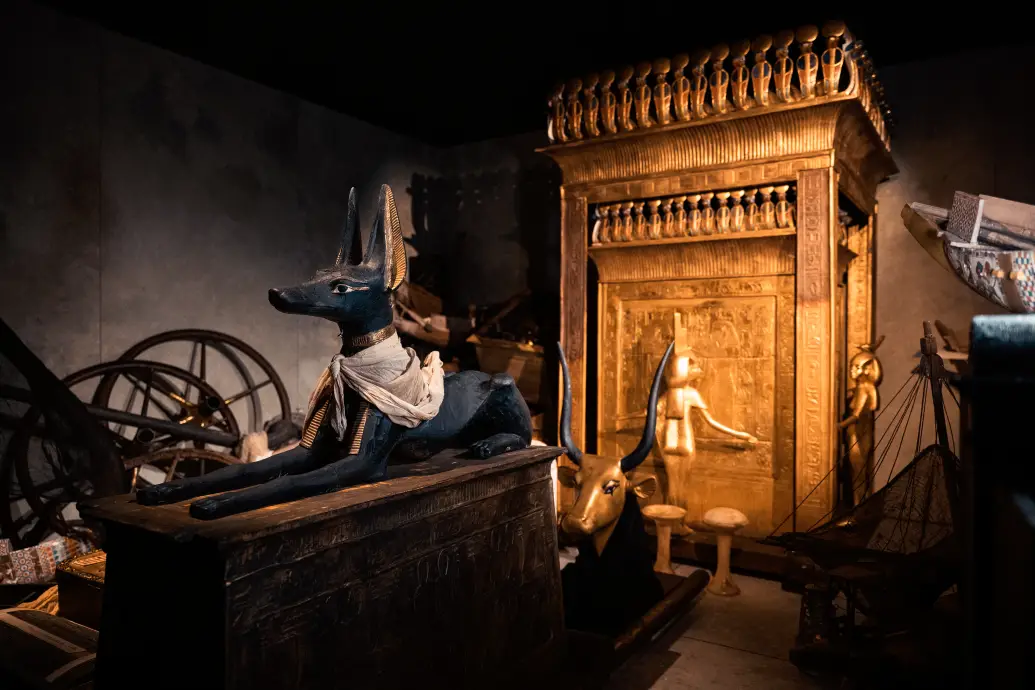 Bild 11 von 16 für Gallery Ein Immersives Abenteuer