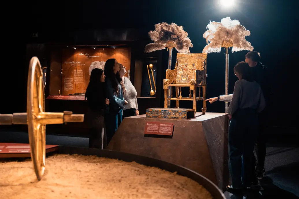 Bild 14 von 16 für Gallery Ein Immersives Abenteuer