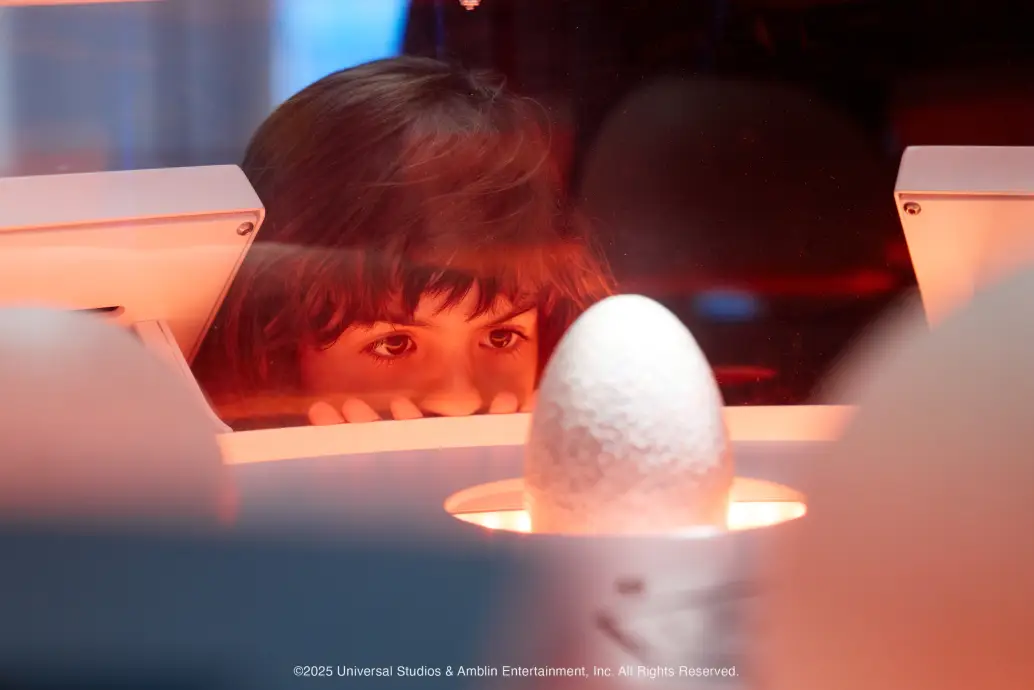 Bild 16 von 18 für Gallery München 2026