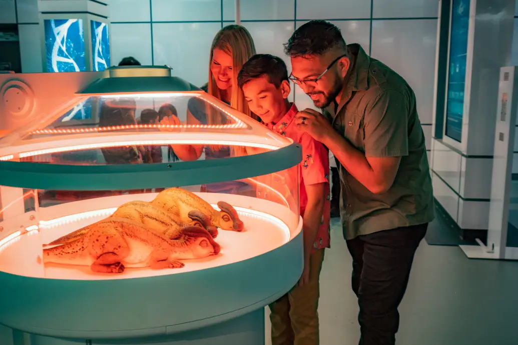 Bild 17 von 18 für Gallery München 2026