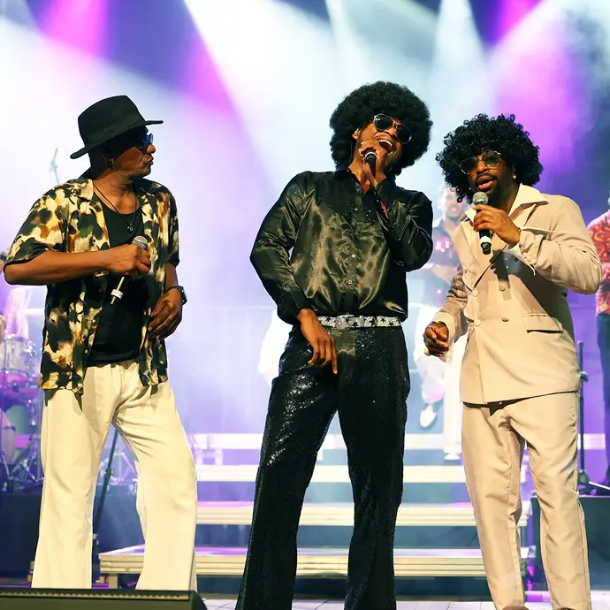 Künstler-Foto von DISCO MANIA