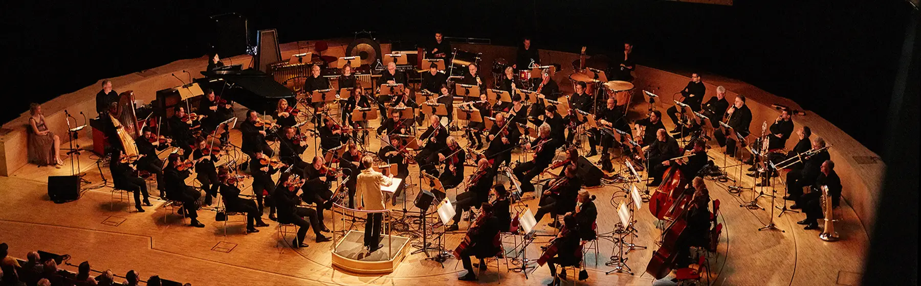 Künstler-Foto von Drei Haselnüsse für Aschenbrödel in landscape Format