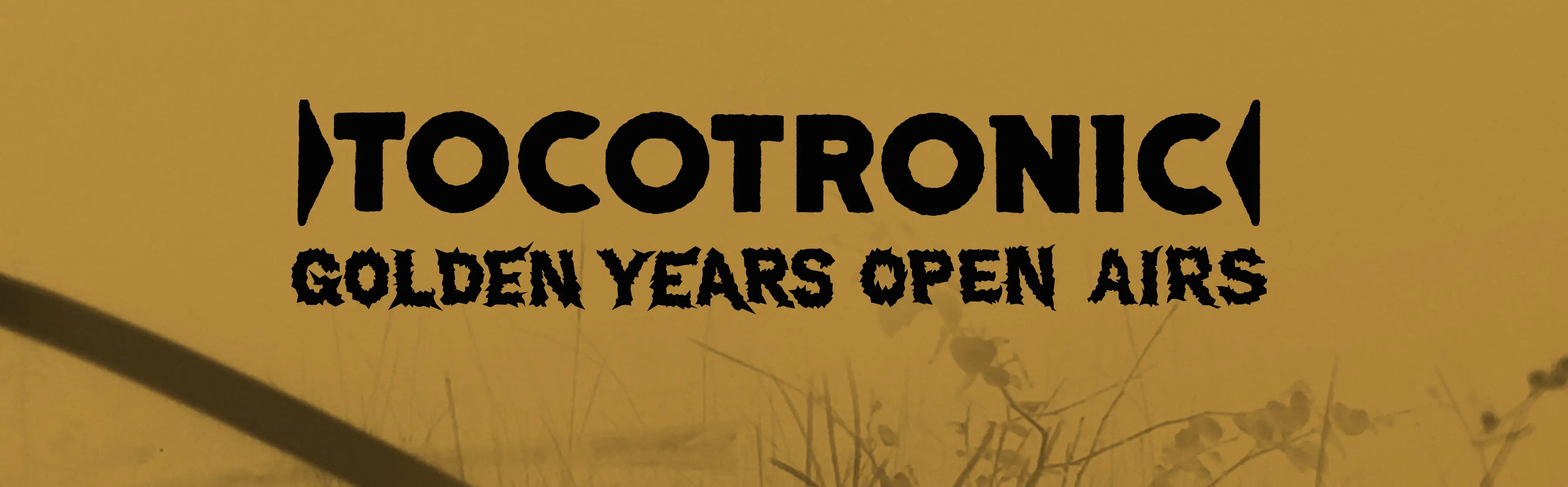 Tour-Foto von GOLDEN YEARS 2026 in landscape Format