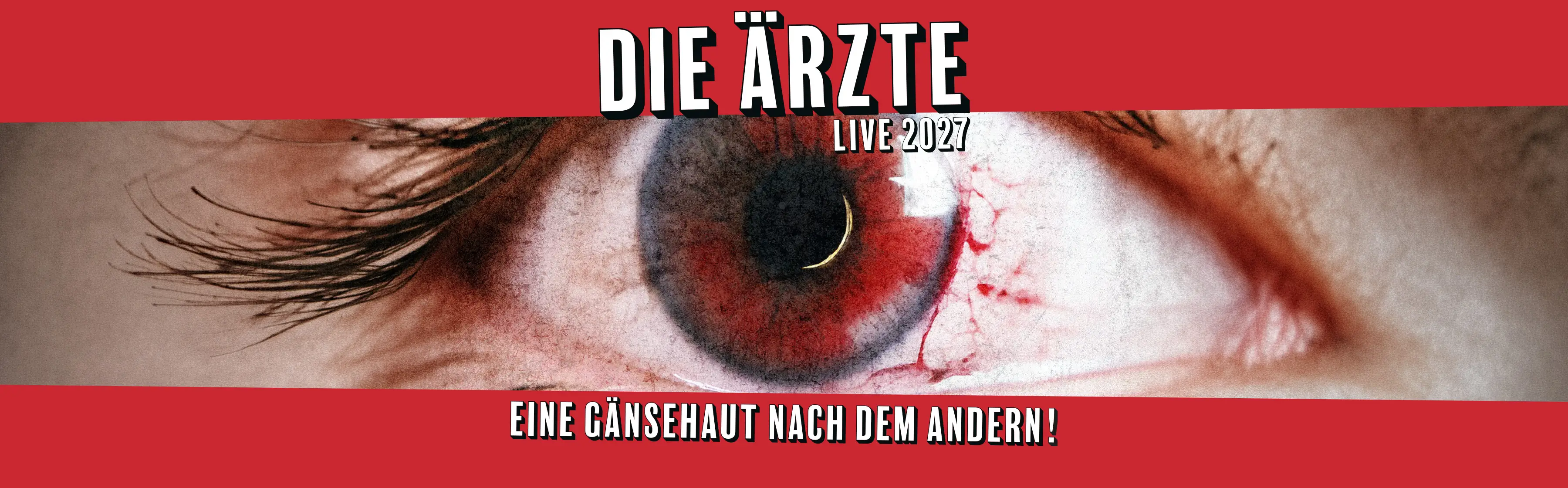 Tour-Foto von Eine Gänsehaut nach dem andern! in landscape Format