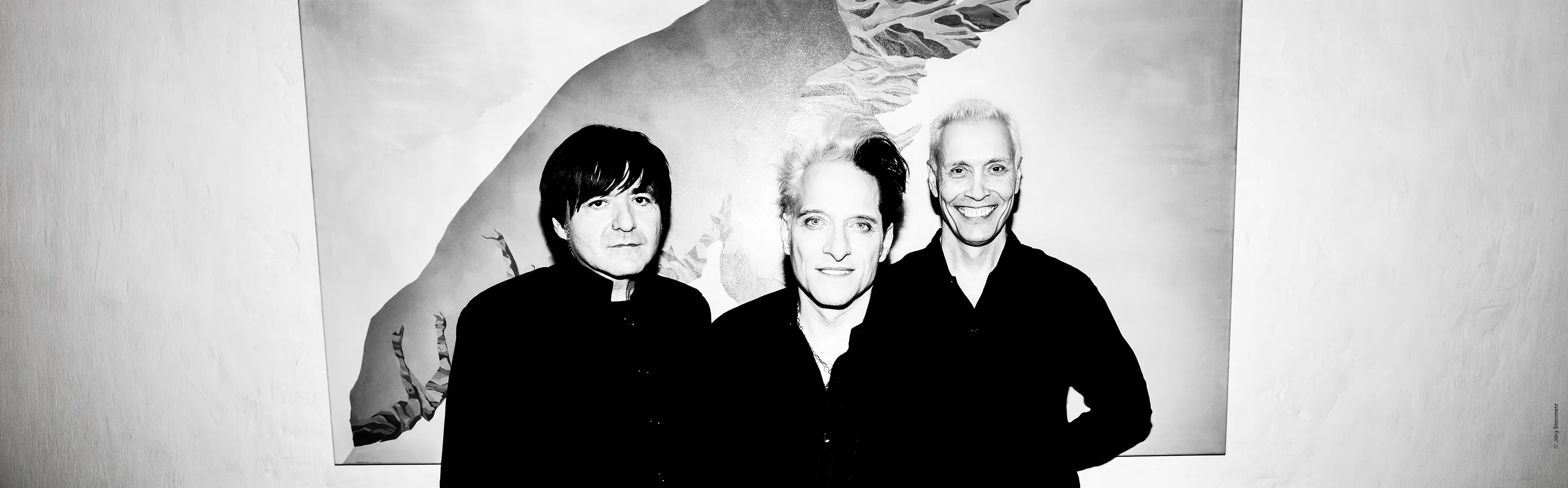 DIE ÄRZTE Eine Gänsehaut nach dem andern!