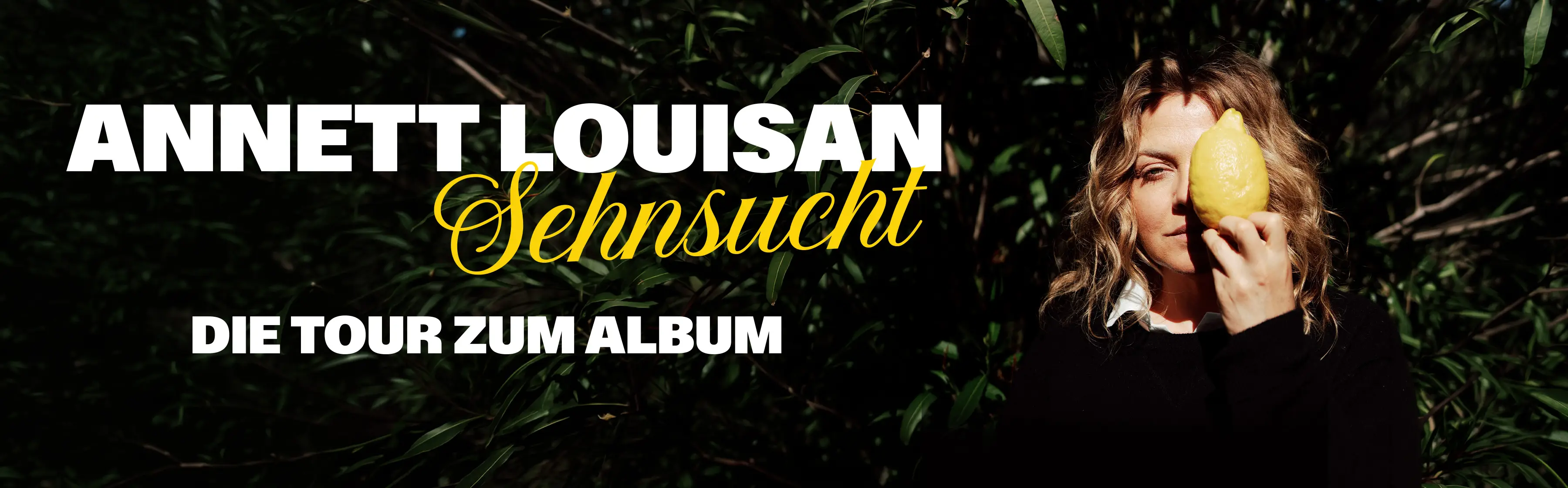 Tour-Foto von SEHNSUCHT in landscape Format