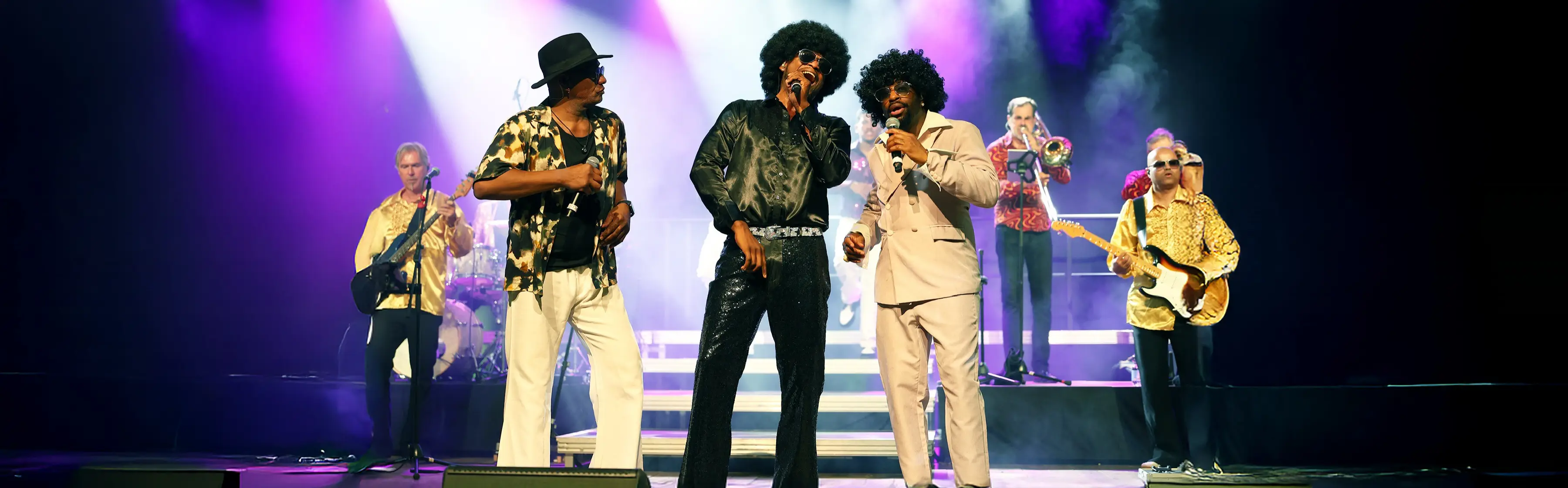 Künstler-Foto von DISCO MANIA in landscape Format