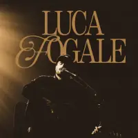 Luca Fogale - Live 2025