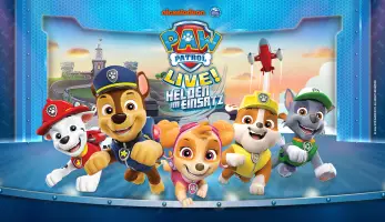 Paw Patrol landscape